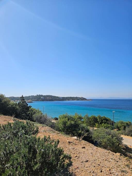 Apartment Vouliagmeni Garden By Astir *
